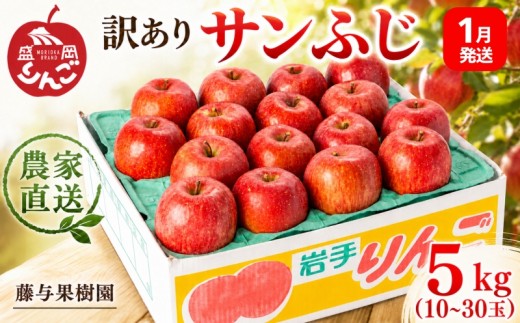 <先行予約> 訳あり サンふじ 5kg <2027年1月発送> りんご 果物 くだもの フルーツ 林檎 リンゴ 産地直送 新鮮 旬 国産 冬 規格外 不揃い 傷 訳アリ わけあり 家庭用 訳 詰め合わせ セット 岩手県 盛岡市 東北 岩手 盛岡 藤与果樹園 fujiyo002s