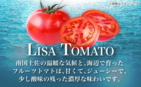 リサフルーツトマト 約2kg トマト とまと 野菜 【株式会社 堀】 [ATDA003]