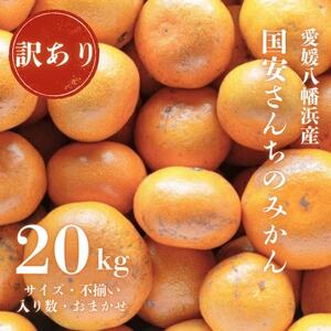 【創業85年 親子4代 愛媛みかん 一筋】訳あり 愛媛みかん 20kg【H20-82】【1623264】