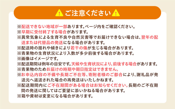 ブルーベリー 生ブルーベリー110ｇ×10パック【7月上旬から8月下旬まで順次発送】 / 冷蔵 フルーツ 果物 ブルーベリー 生 ジャム スムージー ドリンク / 愛媛県砥部町/西岡さん家のみかん園 [BJBG004]