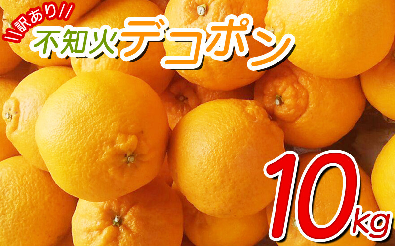 
＼光センサー選別／ 【訳あり】ちょこっと訳あり不知火デコポン 約10kg【ご家庭用】 ※2025年2月中旬より順次発送予定（お届け日指定不可）【nuk121B】
