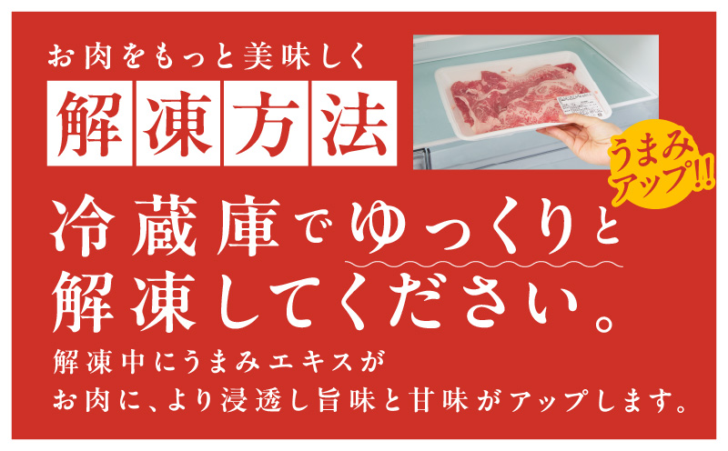 【定期便】国産 牛肉 切り落とし 1.2kg×全3回 総量 3.6kg【国産 牛肉 氷温熟成×極味付け 訳あり サイズ不揃い カレー 牛丼 野菜炒め 肉じゃが 家計応援 毎月配送コース】 099Z30