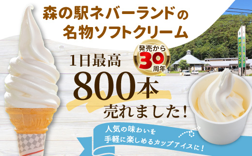〈1週間以内発送〉食べ比べ！乳原料南信州産100％使用！生ソフトクリームアイス&バニラアイスクリーム (80ml)×16個セット  根羽村 ネバーランド 12000円