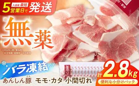 豚肉 こま切れ 計2.8kg《バラ凍結》藤井ファーム[AWAF029]豚こま肉