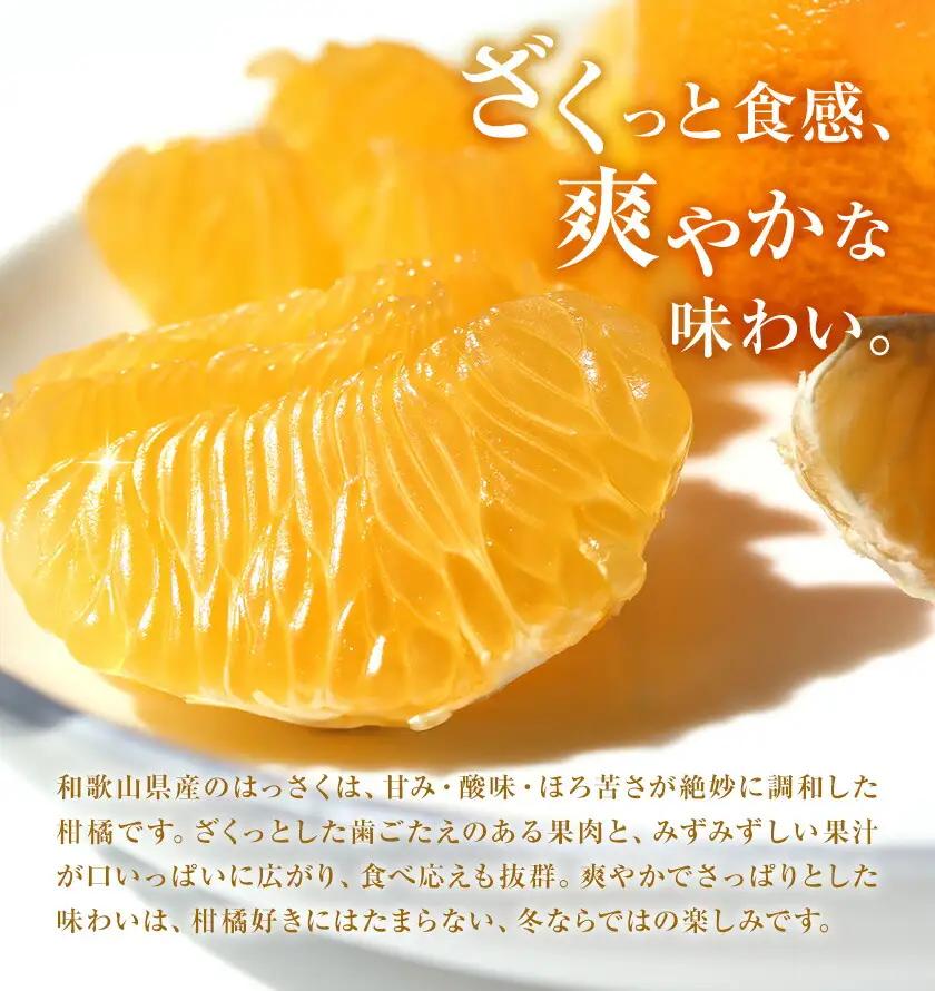 はっさく 訳あり 9kg 株式会社農業福祉研究機構