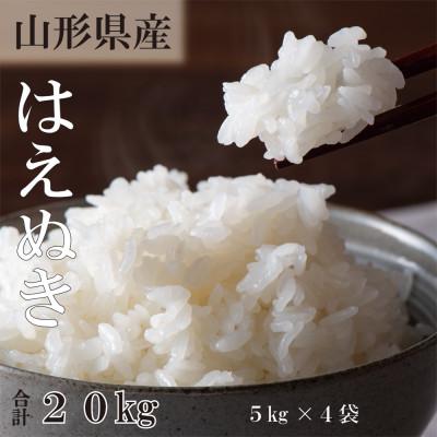 ふるさと納税 新庄市 令和7年産 山形県産　はえぬき　精米20kg(5kg×4袋)