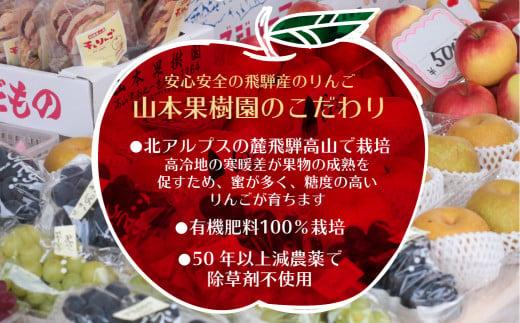 【先行予約 9月中旬～1月下旬発送】飛騨りんご 約5kg (16個～20個）| 9月中旬～順次発送 リンゴ 品種おまかせ 旬のりんごを飛騨からお届け おいしい 大容量 飛騨高山 山本果樹園 MA005