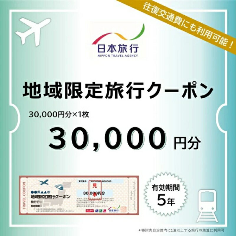 【ふるさと納税】日本旅行 地域限定旅行クーポン 30,000円分 三重県 名張市 宿泊券 チケット 温泉 観光 ホテル 旅館 旅行 トラベル 三重 旅
