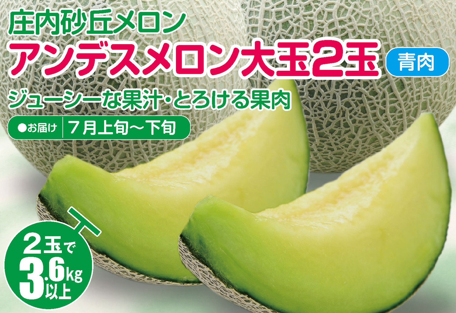 
                  庄内砂丘メロン アンデスメロン(青肉) 大玉2玉　計3.6kg以上　つる付き SA2962
                