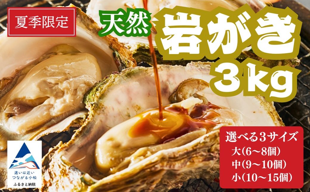 
                  【夏季限定】安宅産 天然 岩がき 選べる 3サイズ 小 (10～15個） / 中 （9～10個) / 大 (6～8個)  3kg | 石川県 小松市 石川県漁業協同組合小松支所 
                