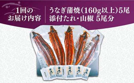 【全6回定期便】福岡県産 うなぎ 蒲焼 大5尾 合計 800 g（1尾あたり 160g以上）[VAD018] 国産 うなぎ