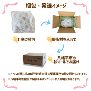 安比清流わさびアイス 5個セット 【安比清流山葵園】 ／ アイス 山葵 わさび ワサビ アイスクリーム スイーツ デザート ジェラート カップ入り カップアイス おやつ 八幡平市産わさび使用 岩手県産