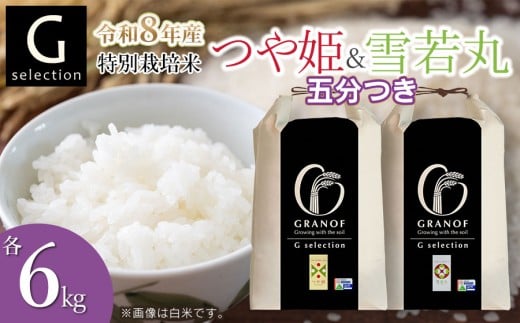【令和8年産先行予約】 特別栽培米 Gセレクション つや姫・雪若丸 【五分づき】 各6kg×1袋 (合計12kg) 食べ比べセット 山形県鶴岡市産　株式会社グラノフ
