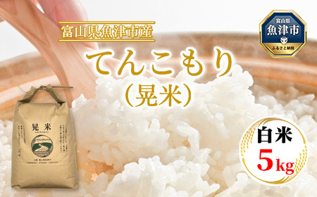 【令和6年度米】環境配慮「魚津のてんこもり（晃米）」5kg（白米） ｜ MK農産 白米 銘柄米 ご飯 おにぎり お弁当 和食 主食 国産 産地直送 甘み 香り もちもち ※2024年10月下旬頃より順次発送予定 ※北海道・沖縄・離島への配送不可