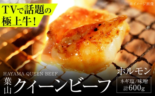 葉山クィーンビーフ味噌味、ネギ塩味 各300g |  牛ホルモン 肉  ほるもん 国産 葉山 HACCP認証 神奈川【株式会社石井ファーム葉山マルシェ】 [ASCD014]
