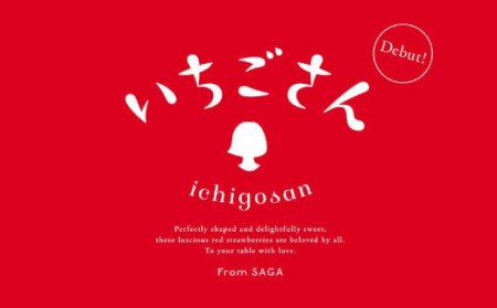 ☆赤い宝石☆佐賀県産いちごさん（240g✕4P）計960g【先行予約開始】2025年1月より発送【数量限定】A-66-AS