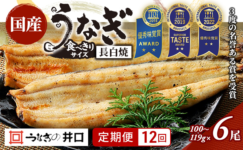 【定期便12回】国産うなぎ長白焼（100～119g）6尾セット ITI優