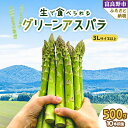 【ふるさと納税】【2025年発送】「生」で食べられる グリーンアスパラ　極太3L以上 500g(10本前後) _ アスパラ アスパラガス グリーンアスパラ 野菜 国産 北海道産 富良野 産地直送 旬 生 冷蔵 とれたて 新鮮 送料無料 贈答 ギフト 人気 【配送不可地域：離島】【1400427】