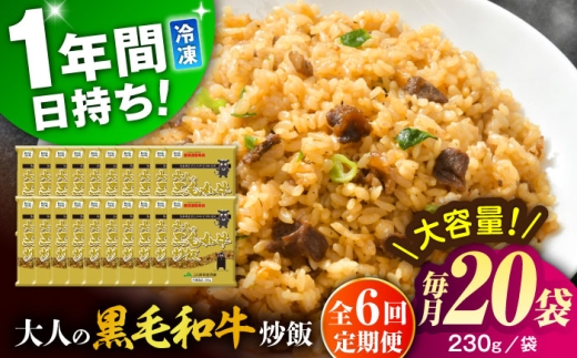 【全6回定期便】熊本県産 こだわり炒飯 大人の黒毛和牛 炒飯 230g×20袋 合計4.6kg 冷凍食品 チャーハン 熊本県 特産品 焼きめし 冷凍炒飯 惣菜 冷凍チャーハン 焼飯 焼き飯 やきめし 炒飯 惣菜 冷凍 温め 時短 レンチン 簡単 ごはん 菊陽町【ユーユーフーズ株式会社】 [BHCS022]