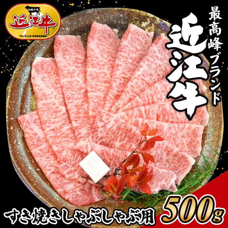 【ふるさと納税】【冷蔵発送】【着日指定必須】近江牛　すき焼き・しゃぶしゃぶ用　500g