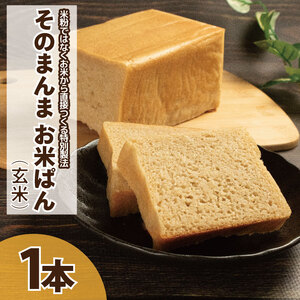 パン 食パン そのまんまお米ぱん 1本 600g コシヒカリ 米 玄米 使用 パン パン パン