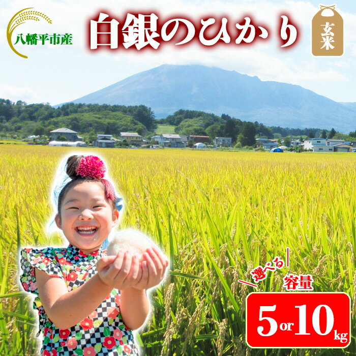 【ふるさと納税】 【令和7年産】【先行予約】 2025年産 岩手県産 米 こめ お米 玄米 選べる 容量 5kg 10kg 岩手141号 白銀のひかり ／ げんまい ご飯 ごはん おこめ ライス らいす おにぎり おすすめ 人気 国産米 国産 産地直送 東北 岩手県 八幡平市 送料無料 かきのうえ