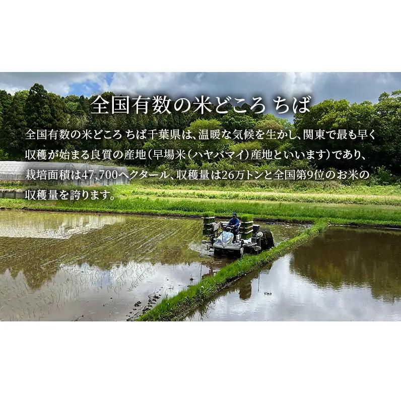 最短出荷 2日から7日以内に発送 令和7年 コシヒカリ　無洗米　10kg お米 精米 粘りつやつや 甘み 美味しい 新鮮 