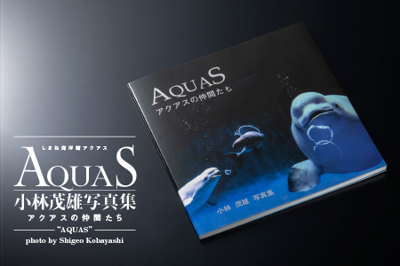 AQUAS アクアスの仲間たち 小林茂雄写真集｜本 写真集 しまね海洋館アクアス 海洋館 水族館 海の生き物 生き物 イルカ ペンギン サメ エイ 子供 孫 KS-1
