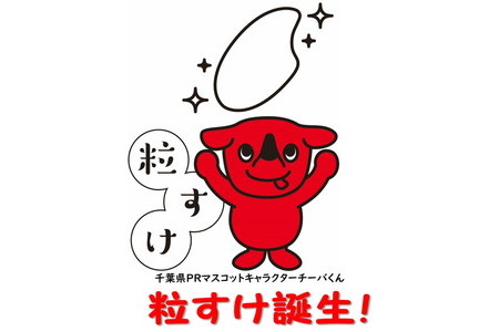 新米 令和6年産 ちばの新しいお米　粒すけ　10kg 【お米マイスター厳選】お米 おこめ 米 こめ 白米