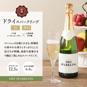 サドヤ ドライスパークリングワイン 720ml