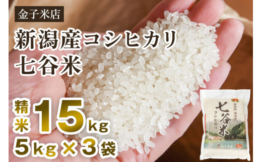 【令和7年産】老舗米穀店が厳選 新潟県加茂市産コシヒカリ「七谷米」精米15kg（5kg×3）〈順次出荷〉 従来品種 白米 窒素ガス充填パックで鮮度長持ち 金子米店