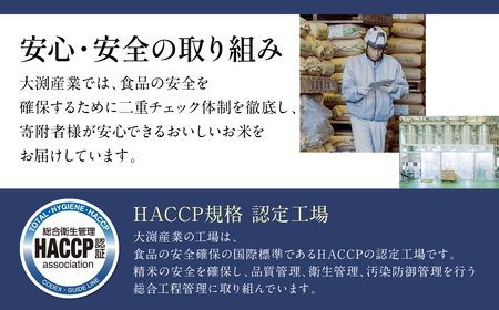 【ふるなびWEEK対象】【先行予約】《令和7年産》くまさんの輝き 5kg×2袋 合計10kg  熊本県 八代市産 米 お米 精米 白米 国産 【2025年11月下旬より順次発送】