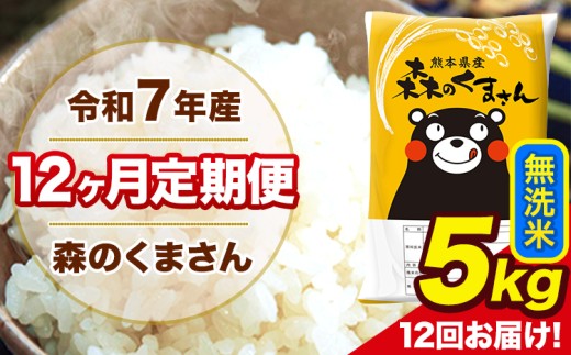 令和7年産 森のくまさん 無洗米 5kg 5kg×1袋 計12回お届け 《お申込み翌月から出荷》 お米 こめ 熊本県産 ご飯 備蓄