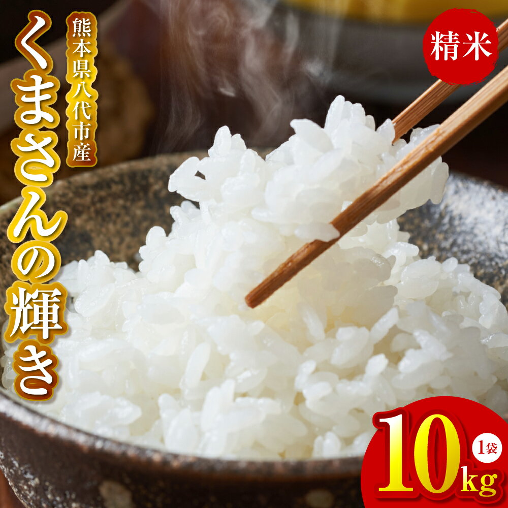 【ふるさと納税】【先行予約】《令和7年産》 くまさんの輝き 精米10kg 熊本県 八代市産 米 お米 精米 国産 白米 送料無料 【2025年11月下旬より順次発送】