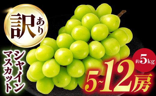 【2026年発送先行受付】訳ありシャインマスカット 約5kg　5～12房 | 訳あり シャインマスカット マスカット ぶどう ブドウ 葡萄 果物 フルーツ 期間限定 新鮮 くだもの 国産 ギフト お裾分け 旬 人気 種なし 皮ごと食べられる ジューシー 糖度が高い 先行受付 先行予約 季節限定 おすすめ 旬の果物 香川 香川県 三木町 |_mk006-102