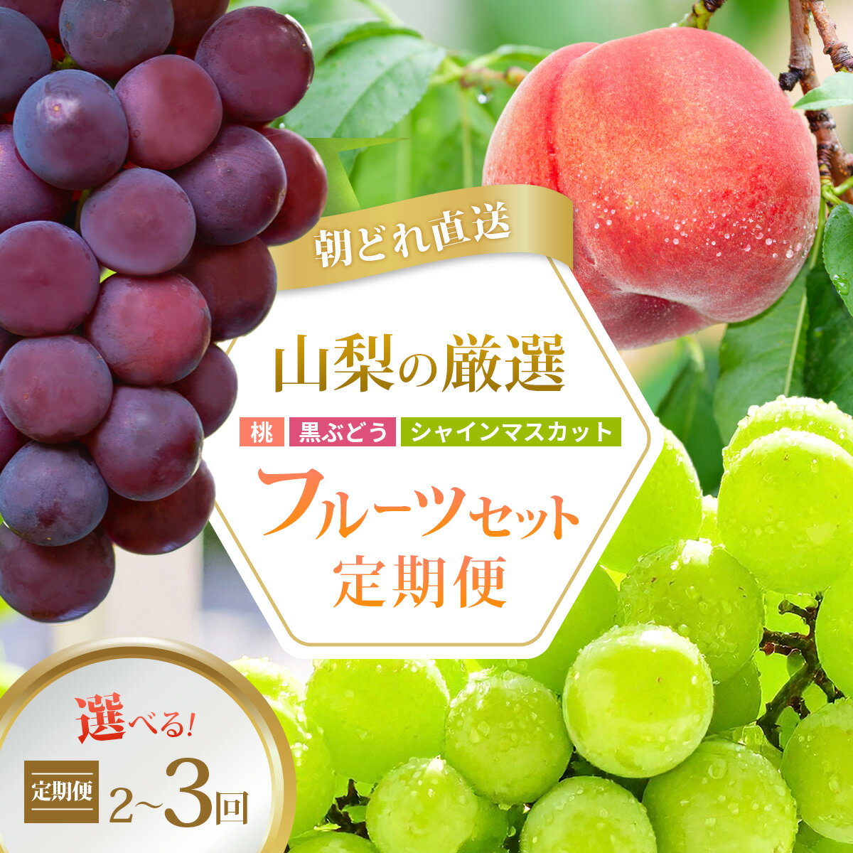 【ふるさと納税】全2回:桃(900g/2kg)・シャイン/桃・巨峰・シャイン/全3回:桃・巨峰・シャイン【配送不可地域：離島・沖縄県】【G4076701】