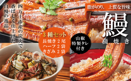 26-362．＜四万十食品＞うなぎ蒲焼　長尾2尾＋ハーフ2袋＋きざみ2袋／Ｄ