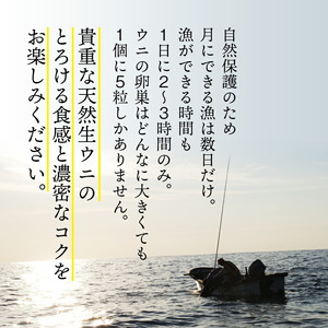 生ウニ 150g 冷蔵 ミョウバン不使用 うに 雲丹 寿司 海鮮 魚貝類 魚介類 キタムラサキウニ ウニ丼 ウニ Sea urchin 新鮮 直送 産地直送 生食 生 ごはん 夕飯 おかず おつまみ 
