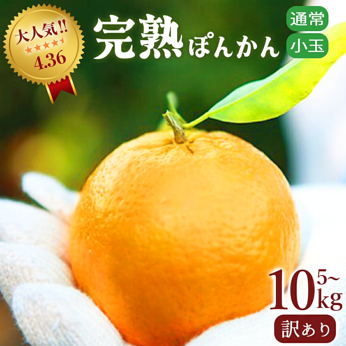 【ふるさと納税】＜選べるサイズ・容量＞ 訳アリ完熟ぽんかん 5kg/10kg 国産 東洋町産 訳あり 甘酸っぱい ジューシー 高知県 東洋町 四国 お取り寄せ フルーツ 蜜柑 ミカン 果物 送料無料 産地直送