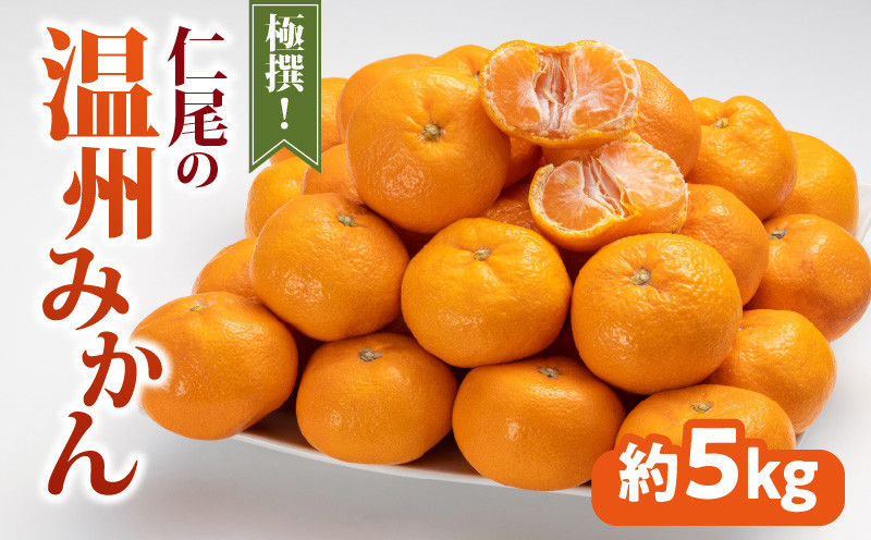 
                  みかん 仁尾 温州みかん 極撰 約5kg  [ フルーツ 果物 果実 柑橘 デザート スイーツ 甘い 果汁 常温 食品 国産 お取り寄せ お取り寄せグルメ ギフト プレゼント 香川県 三豊市 ]
                