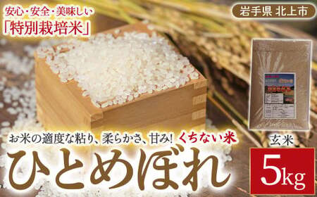 予約受付【 令和8年産 10月下旬発送開始予定 】くちない米（ 特別栽培米 ひとめぼれ 玄米）5kg 岩手県 北上市 D0512 国産 東北 岩手 米 お米 ご飯 こめ 産直 あぐり夢くちない