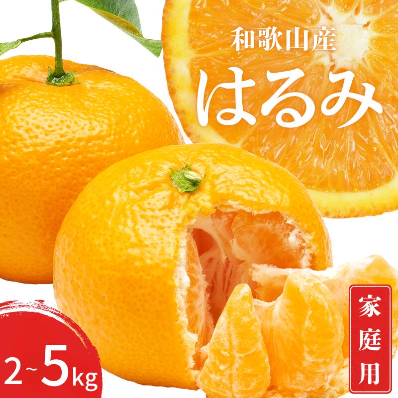 【ふるさと納税】 【先行予約】訳あり 家庭用 はるみ 和歌山 有田 2S～3Lサイズ 大きさお任せ 2kg / 3kg / 5kg 【1月下旬〜3月下旬までに順次発送予定】 / みかん フルーツ 果物 くだもの 蜜柑 柑橘
