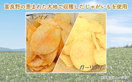 【2ヵ月に1回お届け】JAふらのポテトチップス【ふらのっち】2種類(各12袋)×4回 ふらの農業協同組合(南富良野町) 芋 菓子 スナック じゃがいも お菓子 ポテチ 定期便 詰合せ コンソメ うすし