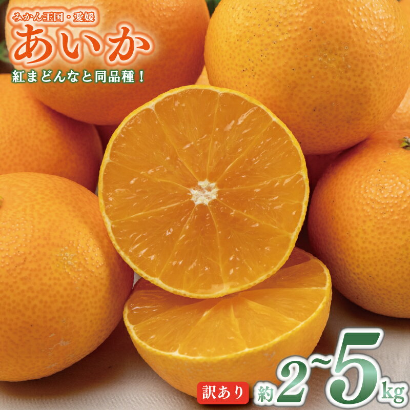 【ふるさと納税】 愛果28号 （紅まどんな と同品種） 訳あり 約2kg または 約5kg | あいか アイカ みかん 家庭用 紅マドンナ と同品種 まどんな マドンナ 柑橘 果物 くだもの フルーツ みかん ミカン mikan 不揃い 傷 ワケアリ 訳アリ 愛媛県 松山市