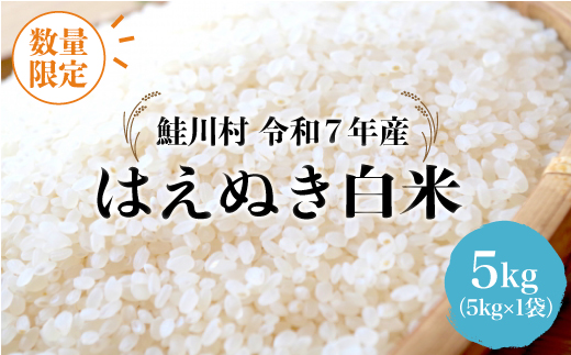 ◇数量限定品◇ 令和8年5月下旬発送 ＜令和7年産＞ はえぬき 【白米】 5kg （5kg×1袋）鮭川村