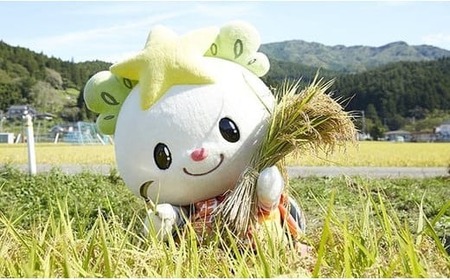 (令和5年産)たかたのゆめ白米10kg