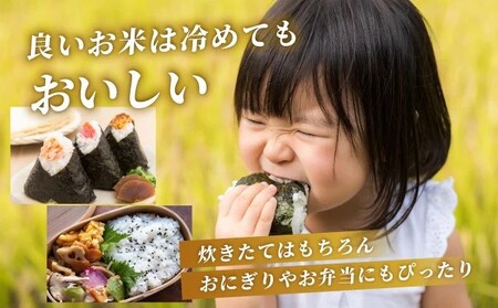 《先行予約》《2025年12月以降順次配送》 令和7年産 さがびより（精米）5kg