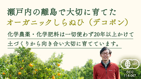 瀬戸内 オーガニック 不知火 3kg 【2027年2月～3月発送】