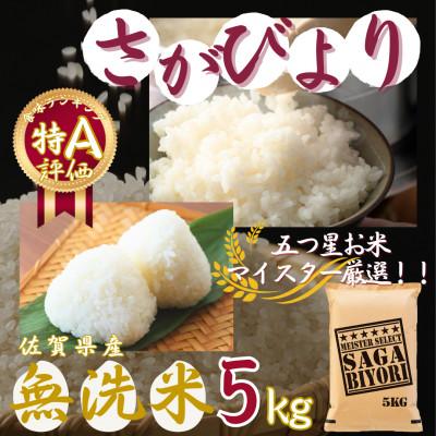 ふるさと納税 伊万里市 令和7年産【無洗米】さがびより 5kg 《マイスターセレクト》