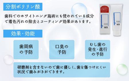 薬用ポリリンジェルWX 75g×3本セット ｜ 歯磨き粉 歯磨き粉